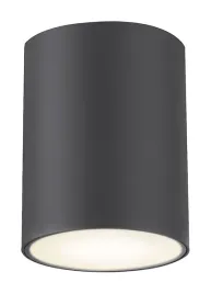 2x-antracytowa-oprawa-sufitowa-zewnetrzna-spot-tuba