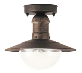2x-zewnetrzna-lampa-sufitowa-metalowa-rabalux-oslo