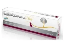 geulincx-epato-paste-plus-2-strzykawki-x-15-ml