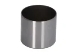 popychacz-zaworu-50007545-kbs