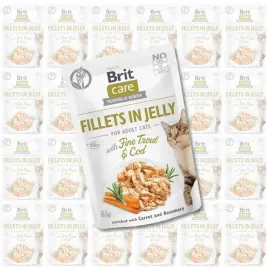 brit-care-cat-fj-fine-troutandcod-pouch-zestaw-24x85g-karma-dla-kota