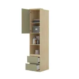 regal-terra-dab-lindberg-eukaliptus-kod-producenta-24leon94