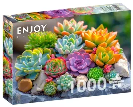 puzzle-1000-el-sukulenty-enjoy
