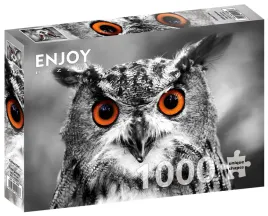 puzzle-1000-el-ciekawska-sowa-enjoy