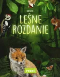rebel-lesne-rozdanie-czas-rozgrywki-do-1-godziny
