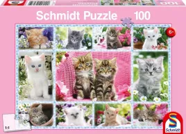 puzzle-100-el-kocieta-schmidt