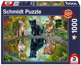 puzzle-1000-el-schmidt-pq-miej-wielkie-marzenia