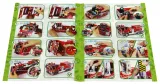 model-3d-woz-strazacki-educa-marka-educa
