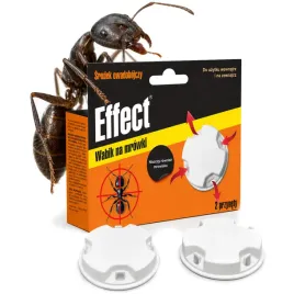 wabik-na-mrowki-effect