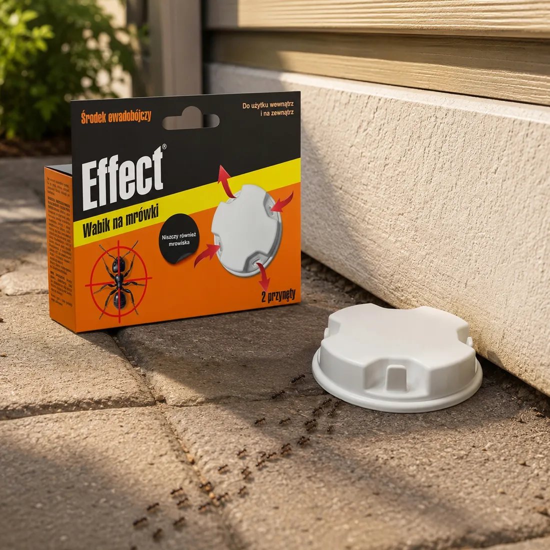 wabik-na-mrowki-effect