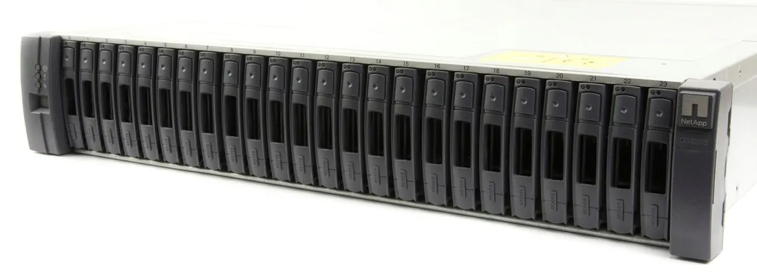 netapp-ds2246