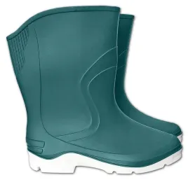kalosze-damskie-reis-rainbow-dtu-r-40