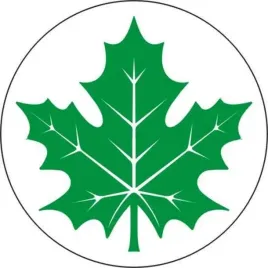 naklejka-nalepka-zielony-listek