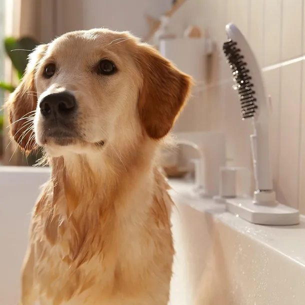 hansgrohe-dogshower-bialy-linia-dogshower