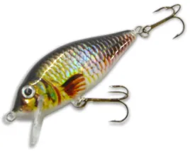 jaxon-wobler-holo-select-karas-75cm-1szt