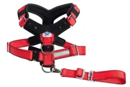 allsafe-comfort-pasy-dla-psa-rozm-s-r23-882