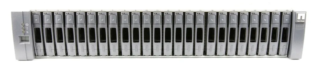 netapp-ds2246