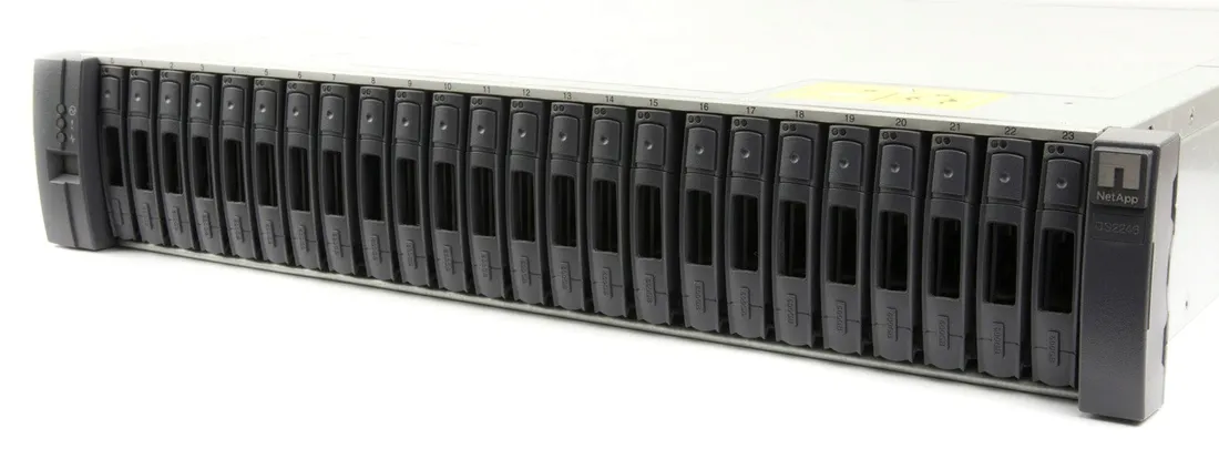 netapp-ds2246