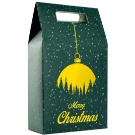 kartonik-swiateczny-opakowanie-na-prezent-merry-christmas-15x25-zielony
