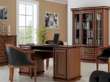elegancka-witryna-dab-caren-c18-c19-stan-nowy