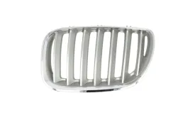 atrapa-nerka-grill-bmw-x5-e53-99-03-lewa-tytan