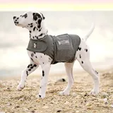 kurteczka-thundershirt-szary-l-dla-psa-rozmiar-l
