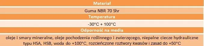simering-13x30x8-nierdzewna-sprezyna-stan-nowy