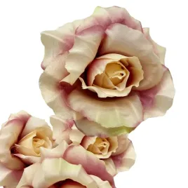 roza-roze-wyrobowa-glowka-sztuczne-kwiaty-jak-zywe-do-stroikow-flowerbox