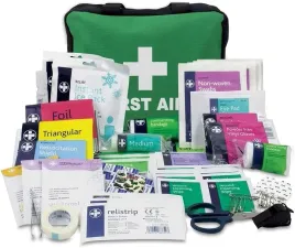 apteczka-rodzinna-pierwszej-pomocy-lewis-plast-reliance-medical-160-el