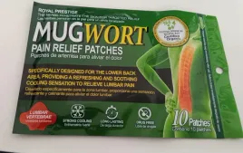 mugwort-pain-relief-patches-na-bol-ledzwi