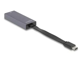 delock-adapter-usb-type-c-do-25-gigabit-lan-slim