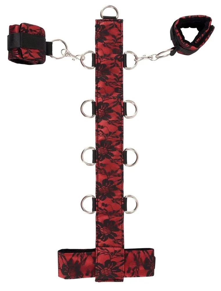 bad-kitty-collar-rodzaj-obroza