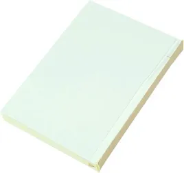 agendepoint-it-kalendarz-zastepczy-2025-wklad-do-kalendarza-17x24-cm
