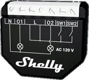 shelly-qubino-wave-2pm