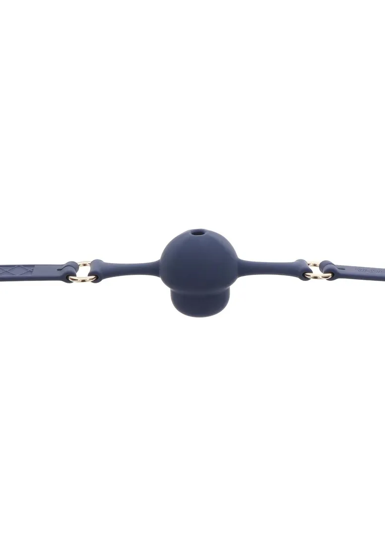 silicone-mouth-gag-blue