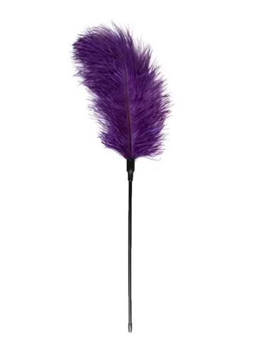 pejcz-purple-feather-tickler