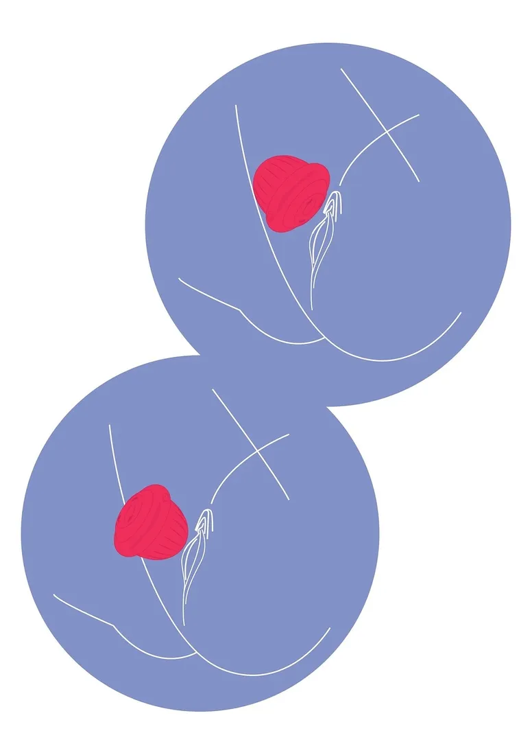 pearl-pulse-duo-stimulator