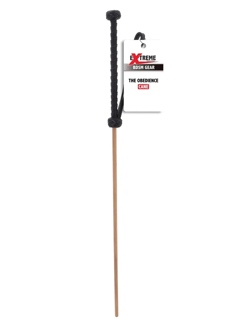 the-obedience-cane