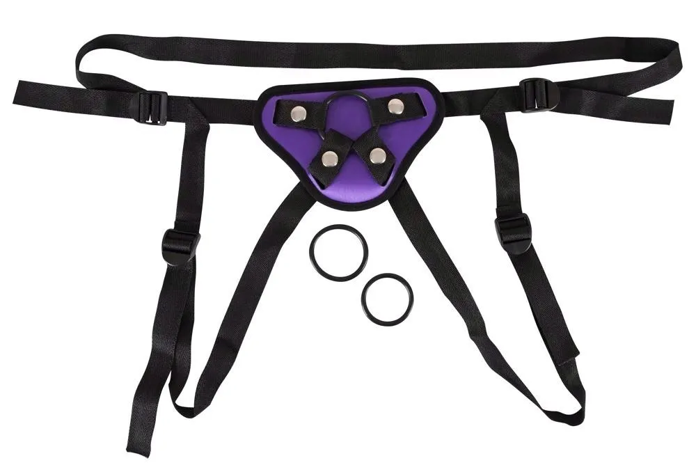 universal-harness-3-rings