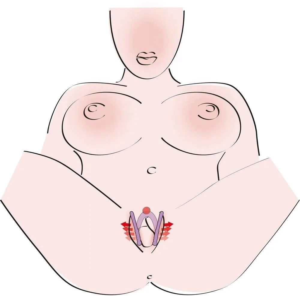 intimate-spreader-purple-stan-nowy