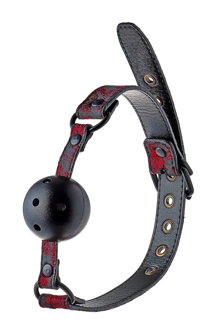 blaze-deluxe-breathable-ball-gag
