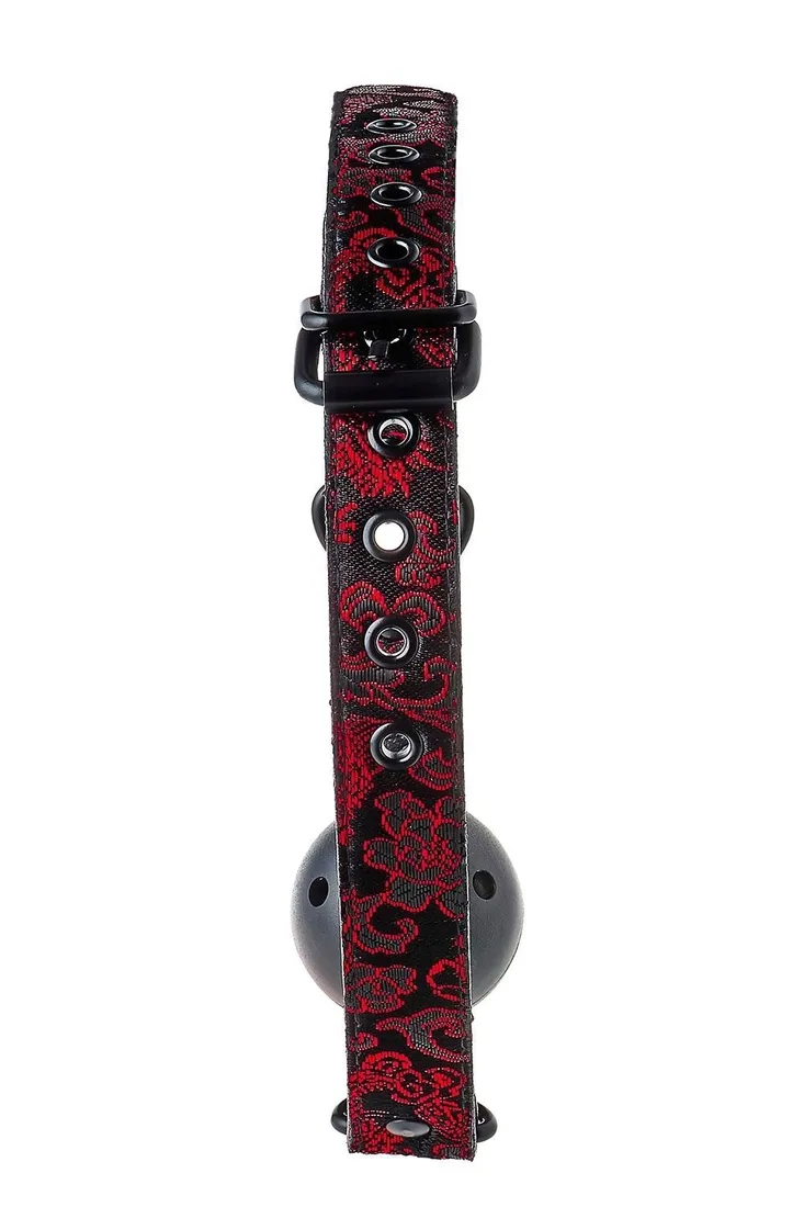 blaze-deluxe-breathable-ball-gag