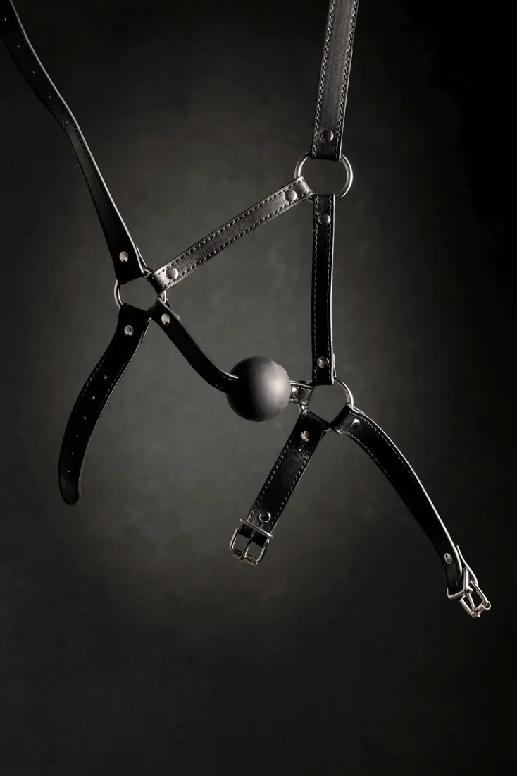 head-harness-with-solid-ball-gag-black