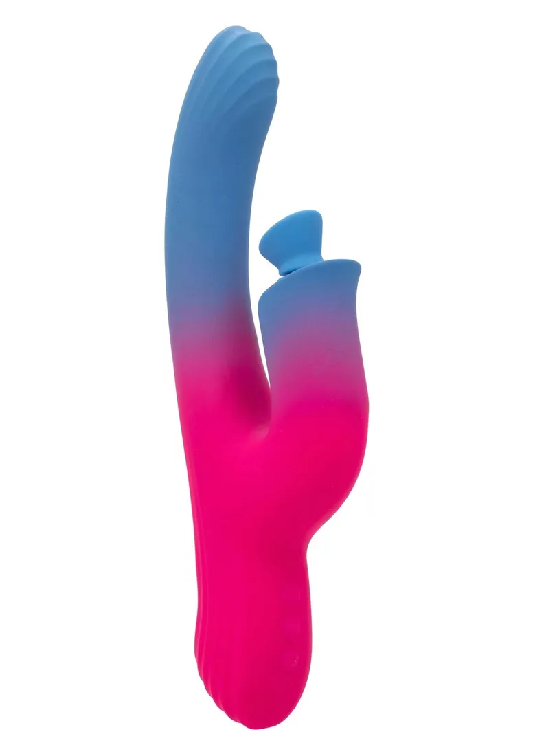 dual-stimulator-suction-vibrator
