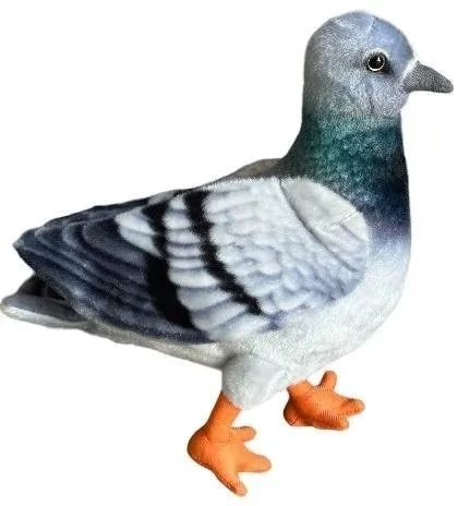 golab-niebieski-30cm