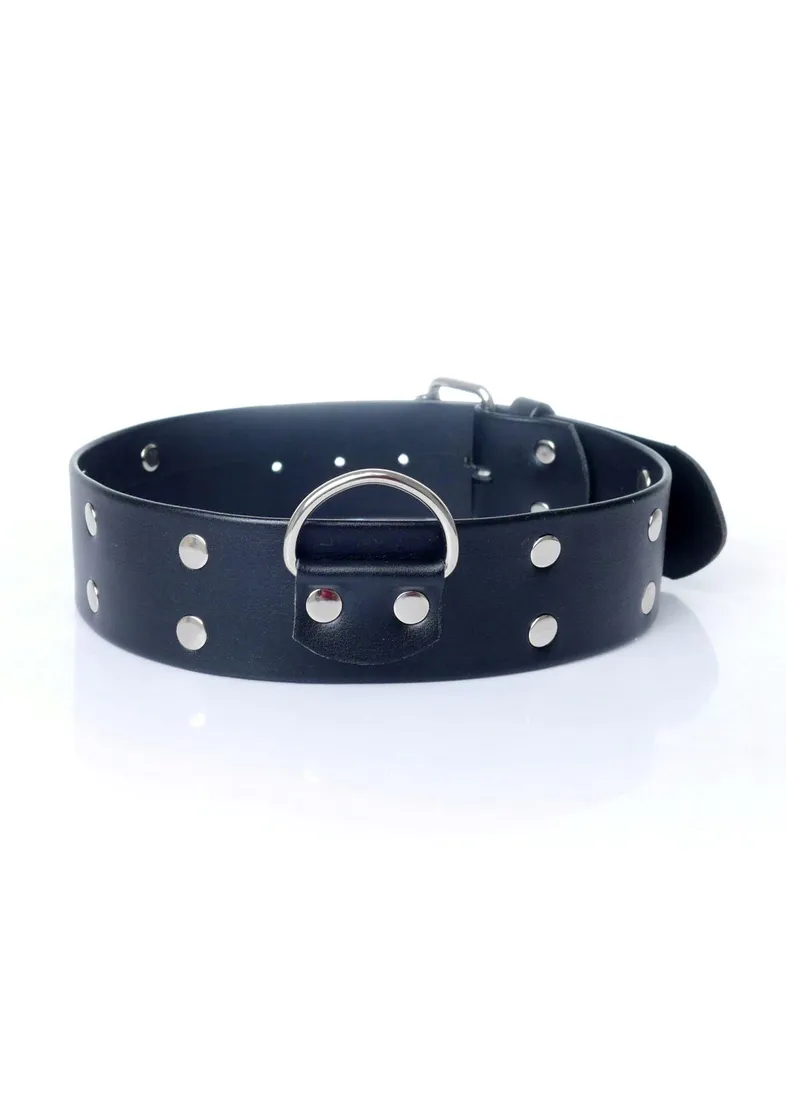 fetish-b-series-collar-with-studs-4-cm