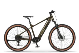 rower-elektryczny-ecobike-sx300-green-19-v2-25ah-900wh