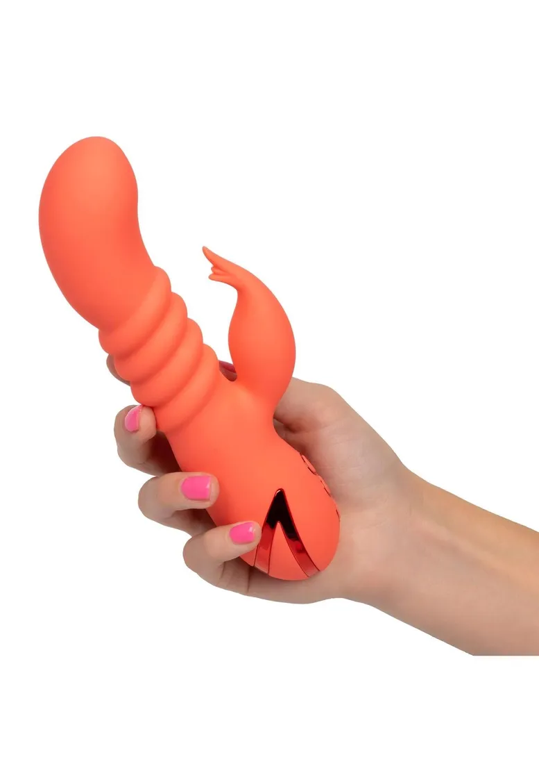 orange-county-cutie-orange