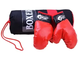 boks-zestaw-bokserski-rekawice-worek-sp0565