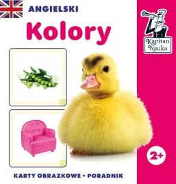 gra-edukacyjna-angielski-kolory-dla-dzieci-2-nauka-jezyka-ang